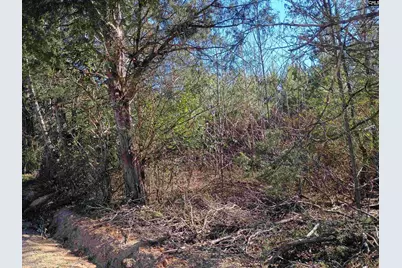 1163 Juneberry Rd, Camden, SC 29020 - Photo 7