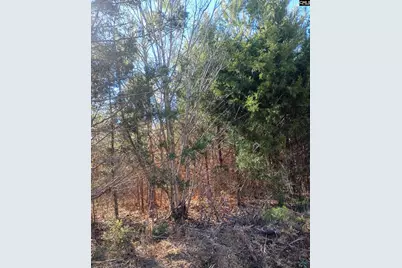 1163 Juneberry Rd, Camden, SC 29020 - Photo 3