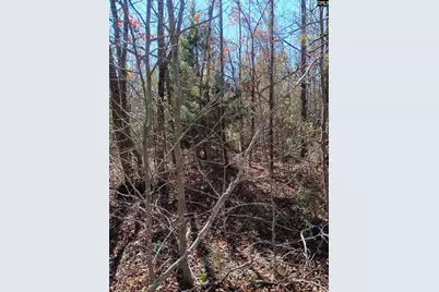 1163 Juneberry Rd, Camden, SC 29020 - Photo 5