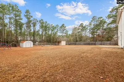 885 Bush Berry Road, Pelion, SC 29123 - Photo 27