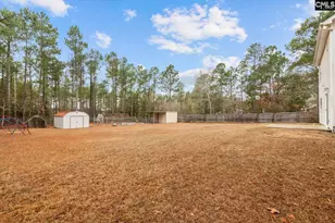 885 Bushberry Rd, Pelion, SC 29123 - Photo 27