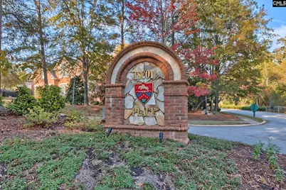 115 Land Stone Circle, Irmo, SC 29063 - Photo 65