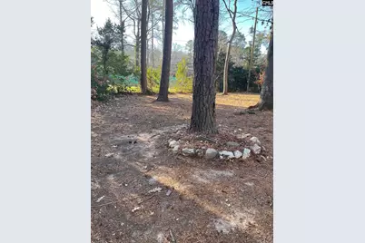 425 Pitney Road, Columbia, SC 29212 - Photo 21