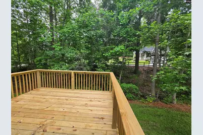 205 Quiet Side Court, Blythewood, SC 29016 - Photo 5