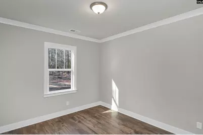 111 Greengarden Drive, Chapin, SC 29036 - Photo 27