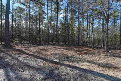 111 Greengarden Drive, Chapin, SC 29036 - Photo 53