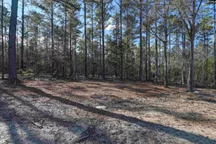 111 Greengarden Dr, Chapin, SC 29036 - Photo 53