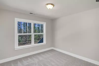 111 Greengarden Drive, Chapin, SC 29036 - Photo 45