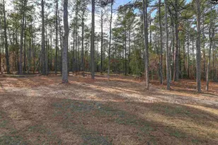 107 Greengarden Dr, Chapin, SC 29036 - Photo 63