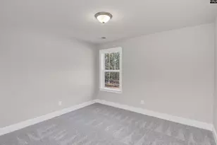 107 Greengarden Dr, Chapin, SC 29036 - Photo 55