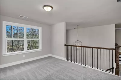 107 Greengarden Drive, Chapin, SC 29036 - Photo 37