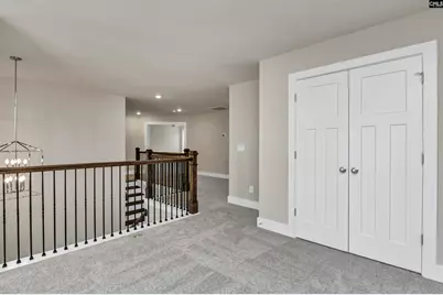 107 Greengarden Drive, Chapin, SC 29036 - Photo 59