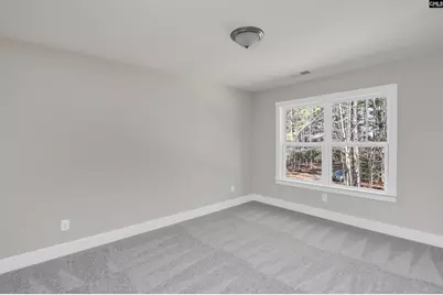 119 Greengarden Drive, Chapin, SC 29036 - Photo 29