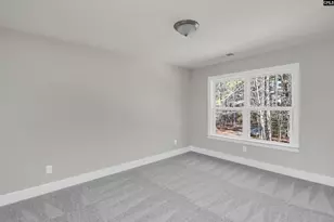 119 Greengarden Dr, Chapin, SC 29036 - Photo 29