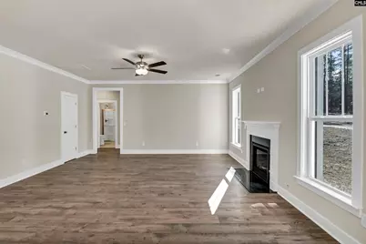 119 Greengarden Drive, Chapin, SC 29036 - Photo 19