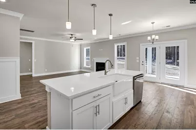 119 Greengarden Drive, Chapin, SC 29036 - Photo 13