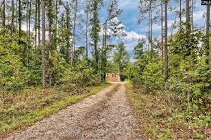 133 Hiram Allen Rd, Blythewood, SC 29016 - Photo 37