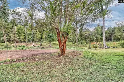 133 Hiram Allen Road, Blythewood, SC 29016 - Photo 41