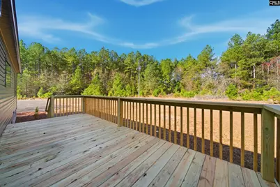 230 Providence Road, Leesville, SC 29070 - Photo 23