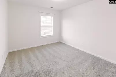 337 Wahoo Circle, Irmo, SC 29063 - Photo 29