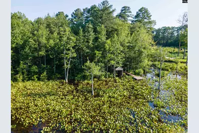 Lot 39 Edisto Lake Road #39, Wagener, SC 29164 - Photo 17