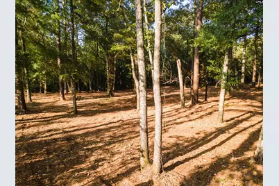 Lot 39 Edisto Lake Road #39, Wagener, SC 29164 - Photo 7