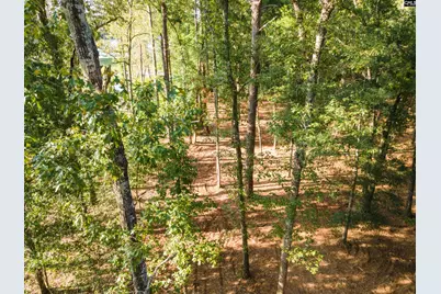 Lot 39 Edisto Lake Road #39, Wagener, SC 29164 - Photo 5