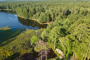 Lot 39 Edisto Lake Rd, Wagener, SC 29164 - Photo 1