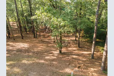 Lot 39 Edisto Lake Road #39, Wagener, SC 29164 - Photo 3