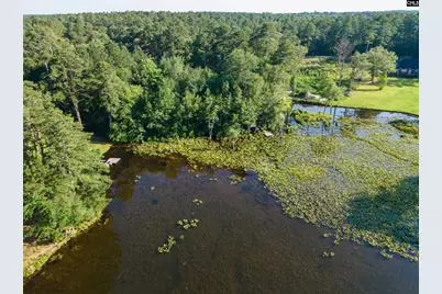 Lot 39 Edisto Lake Road #39, Wagener, SC 29164 - Photo 19