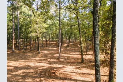Lot 39 Edisto Lake Road #39, Wagener, SC 29164 - Photo 11