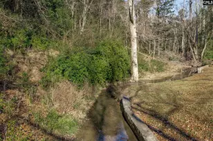 131 Woodland Terrace, Winnsboro, SC 29180 - Photo 39