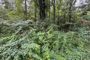 1314 Red Ridge Terrace, Columbia, SC 29203 - Photo 1