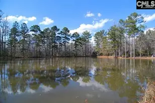 211 Stonington Dr, Blythewood, SC 29016 - Photo 17