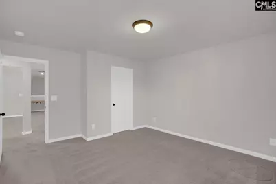 213 Golden Fluke Drive, Lexington, SC 29072 - Photo 35