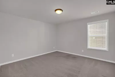 213 Golden Fluke Drive, Lexington, SC 29072 - Photo 33