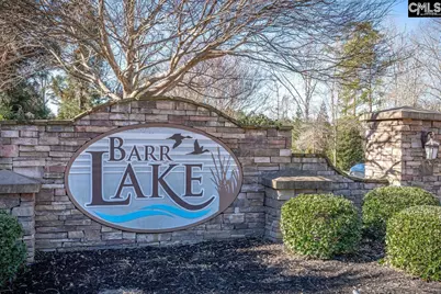 213 Golden Fluke Drive, Lexington, SC 29072 - Photo 47