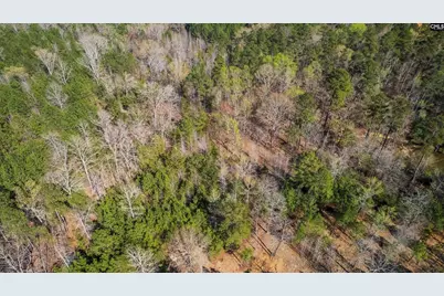 359 Holly Point Road, Prosperity, SC 29127 - Photo 3