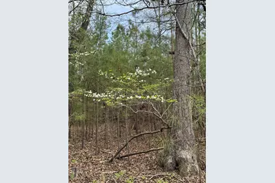 359 Holly Point Road, Prosperity, SC 29127 - Photo 7