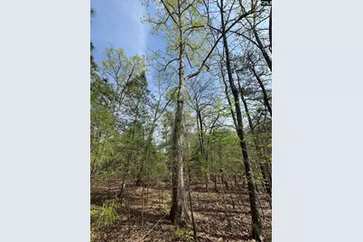 359 Holly Point Road, Prosperity, SC 29127 - Photo 11