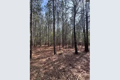 359 Holly Point Road, Prosperity, SC 29127 - Photo 9