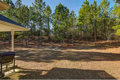 672 Old Orangeburg Road, Lexington, SC 29073 - Photo 17