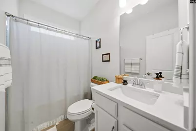 527 Radnor Hunt Court, Gilbert, SC 29054 - Photo 25