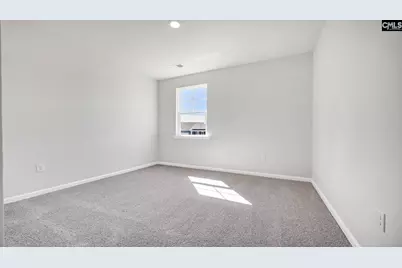 452 Leathertree Lane, Blythewood, SC 29016 - Photo 13