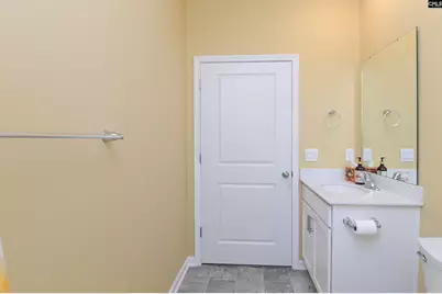 1312 Canopy Crest Lane, Chapin, SC 29036 - Photo 43