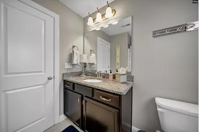 52 Fork Branch Court, Irmo, SC 29063 - Photo 53