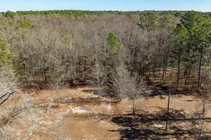 516 Barfield Rd, Elgin, SC 29045 - Photo 13