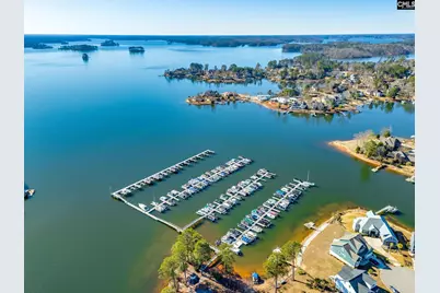 247 Laurelbrook Drive, Chapin, SC 29036 - Photo 41