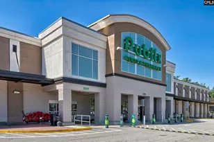 350 Chapin Pl Wy, Chapin, SC 29036 - Photo 19