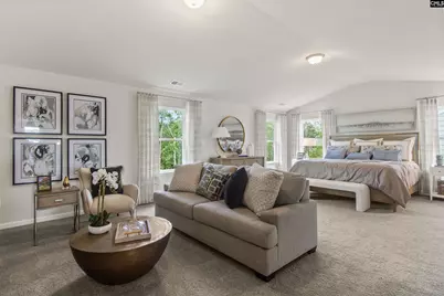 350 Chapin Place Way, Chapin, SC 29036 - Photo 13